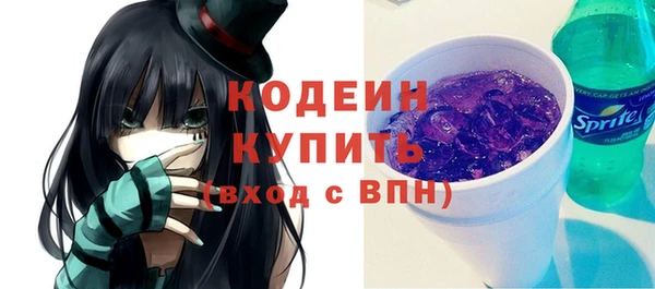 молекула духа Богданович