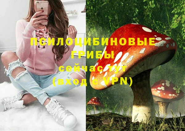 марки nbome Богородицк