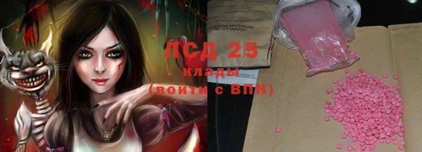 молекула духа Богданович