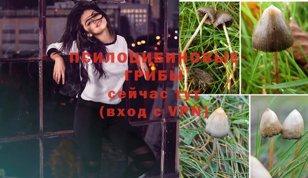 ГАЛЛЮЦИНОГЕННЫЕ ГРИБЫ Белоозёрский
