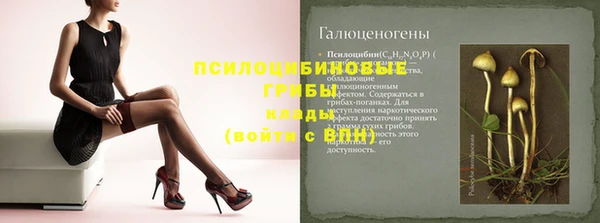 ГАЛЛЮЦИНОГЕННЫЕ ГРИБЫ Белоозёрский