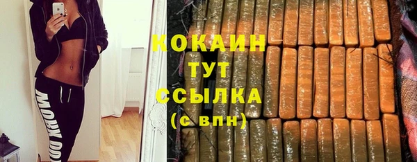 молекула духа Богданович
