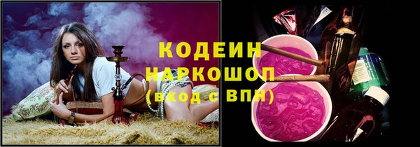 молекула духа Богданович