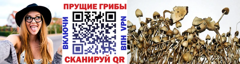 Псилоцибиновые грибы MAGIC MUSHROOMS  Губкинский 