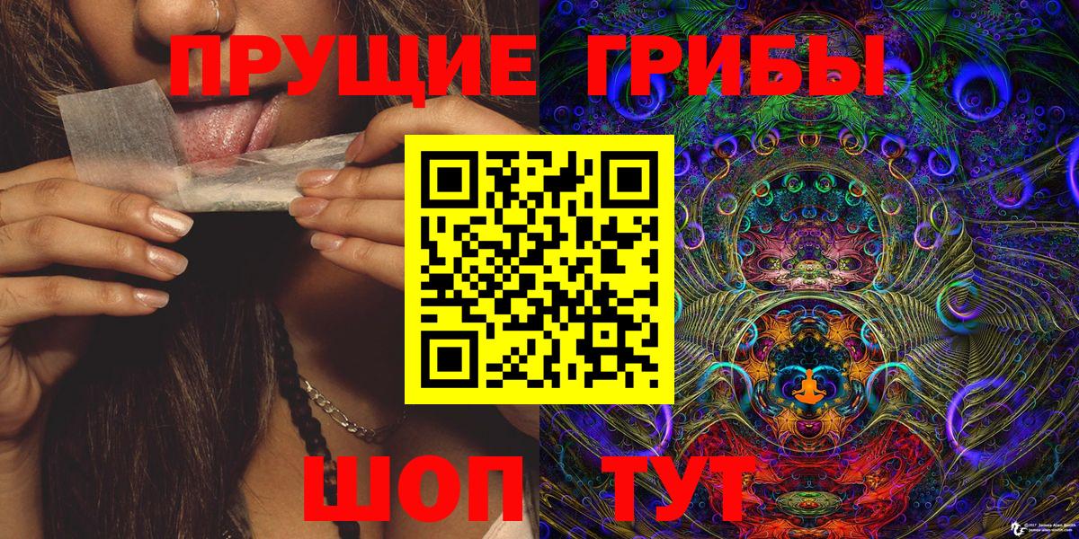 Губкинский  Псилоцибиновые грибы MAGIC MUSHROOMS  Вход с VPN 