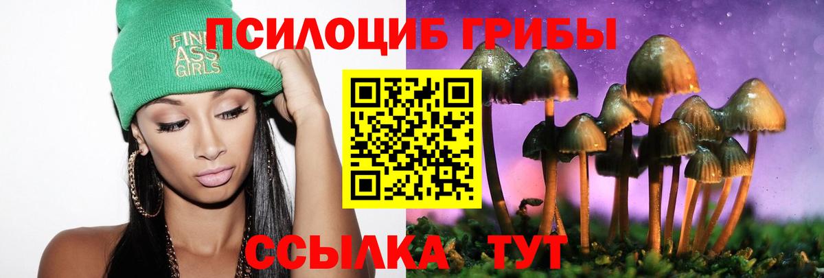 Галлюциногенные грибы ЛСД Губкинский