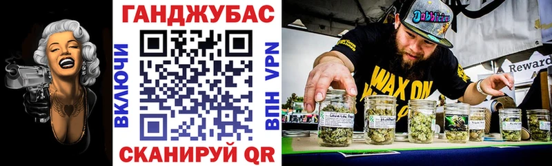 как найти   Губкинский  Бошки Шишки White Widow 